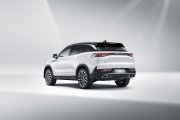 X75 withe 3.jpg
